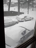 im001507.jpg