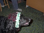 im001567.jpg