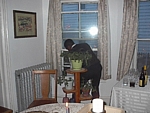 im001582.jpg